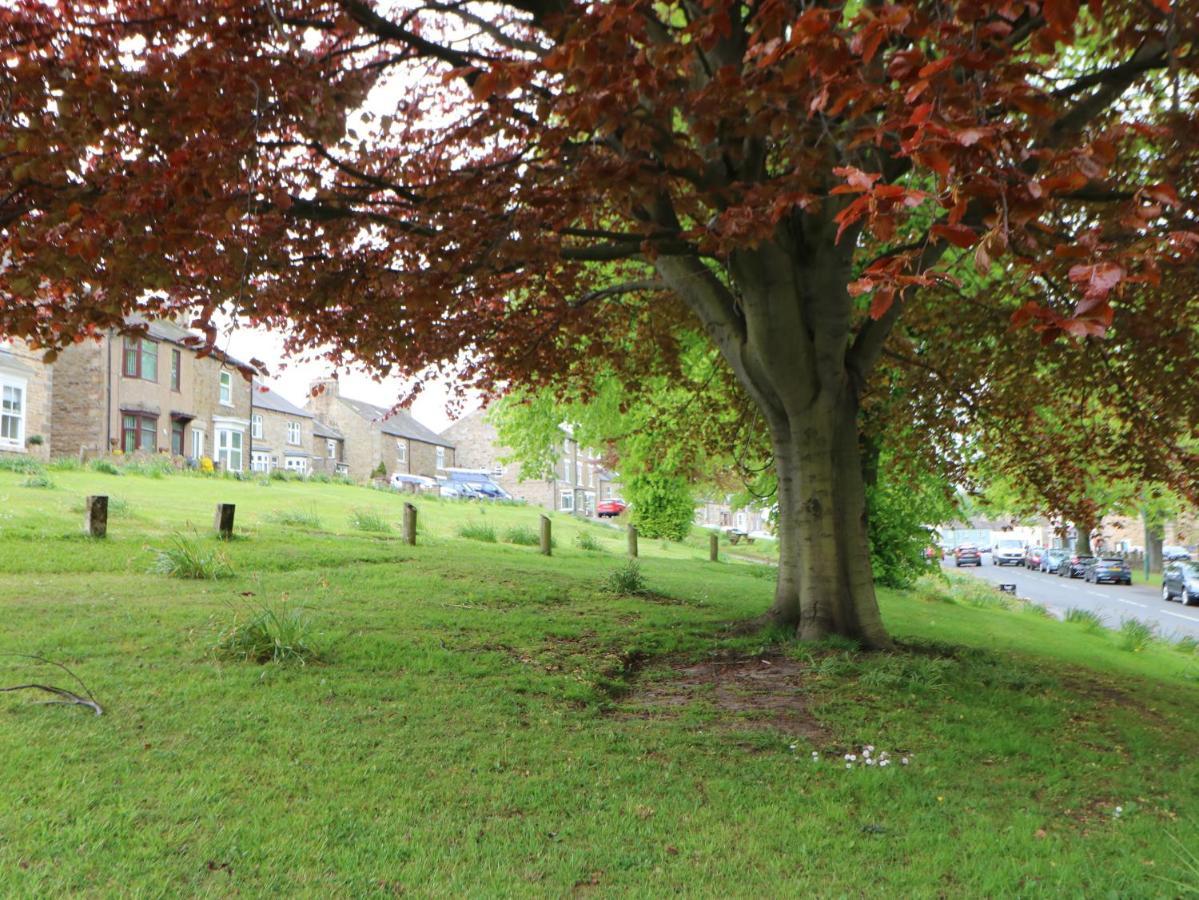 Langlands Villa Barnard Castle Bagian luar foto